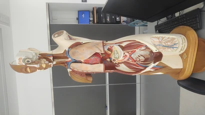 Anatomy and Physiology Equipment