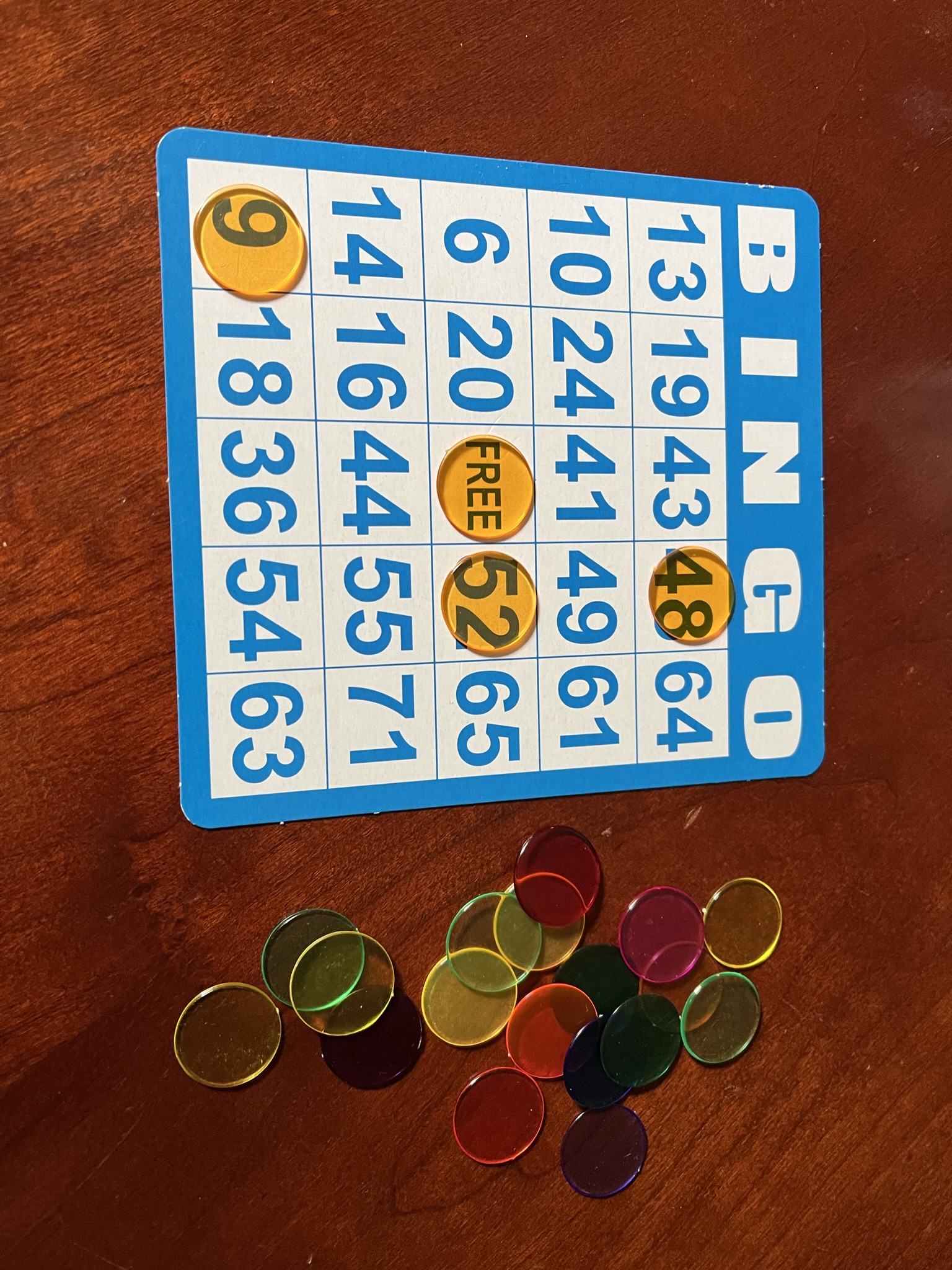 Bingo meet-up picture (Bingo card and chips).