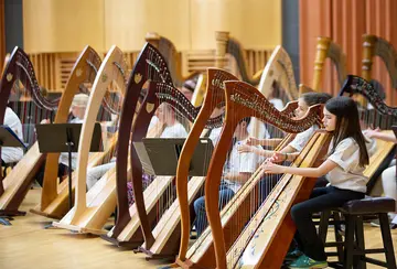 Image of students in prior Harp Day.